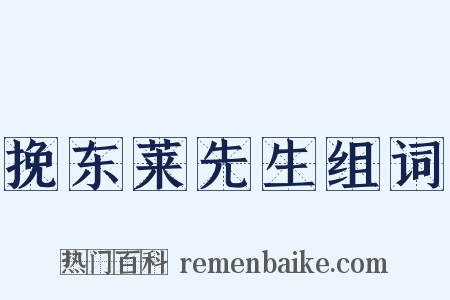 挽东莱先生组词是什么意思的图片
